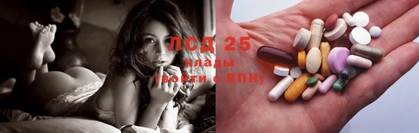 шишки Магадан