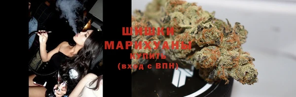 шишки Магадан
