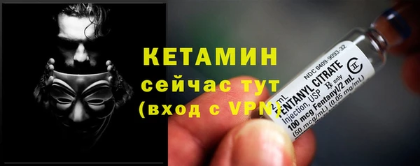 шишки Магадан