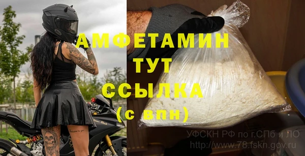 шишки Магадан